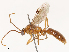  ( - CBG-B02341-D12)  @11 [ ] CreativeCommons - Attribution Share - Alike (2025) CBG Photography Group Centre for Biodiversity Genomics