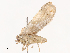  ( - CBG-B02342-B12)  @11 [ ] CreativeCommons - Attribution Share - Alike (2025) CBG Photography Group Centre for Biodiversity Genomics