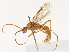  ( - CBG-B02342-C12)  @11 [ ] CreativeCommons - Attribution Share - Alike (2025) CBG Photography Group Centre for Biodiversity Genomics