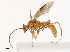  ( - CBG-B02342-D01)  @11 [ ] CreativeCommons - Attribution Share - Alike (2025) CBG Photography Group Centre for Biodiversity Genomics