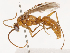  ( - CBG-B02342-D03)  @11 [ ] CreativeCommons - Attribution Share - Alike (2025) CBG Photography Group Centre for Biodiversity Genomics