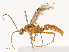  ( - CBG-B02342-D07)  @11 [ ] CreativeCommons - Attribution Share - Alike (2025) CBG Photography Group Centre for Biodiversity Genomics