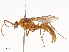  ( - CBG-B22931-H01)  @11 [ ] CreativeCommons - Attribution Share - Alike (2025) CBG Photography Group Centre for Biodiversity Genomics