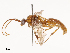  ( - CBG-B22931-H03)  @11 [ ] CreativeCommons - Attribution Share - Alike (2025) CBG Photography Group Centre for Biodiversity Genomics