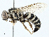  ( - BIOUG97733-B10)  @11 [ ] CreativeCommons - Attribution (2023) CBG Photography Group Centre for Biodiversity Genomics