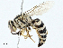  ( - BIOUG97733-F08)  @11 [ ] CreativeCommons - Attribution (2023) CBG Photography Group Centre for Biodiversity Genomics