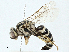  ( - BIOUG97733-F12)  @11 [ ] CreativeCommons - Attribution (2023) CBG Photography Group Centre for Biodiversity Genomics