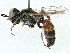  ( - BIOUG97734-H02)  @11 [ ] CreativeCommons - Attribution (2023) CBG Photography Group Centre for Biodiversity Genomics