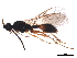  ( - BIOUG36851-F12)  @13 [ ] CreativeCommons - Attribution (2018) CBG Photography Group Centre for Biodiversity Genomics