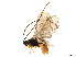  ( - BIOUG14957-F08)  @11 [ ] CreativeCommons - Attribution Share - Alike (2023) CBG Photography Group Centre for Biodiversity Genomics