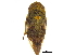  ( - BIOUG14984-B04)  @13 [ ] CreativeCommons - Attribution (2017) CBG Photography Group Centre for Biodiversity Genomics