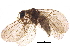  ( - BIOUG15112-C07)  @11 [ ] CreativeCommons - Attribution (2017) CBG Photography Group Centre for Biodiversity Genomics