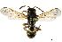  ( - BIOUG15150-E04)  @14 [ ] CreativeCommons - Attribution (2019) CBG Photography Group Centre for Biodiversity Genomics