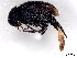  ( - BIOUG15404-C08)  @11 [ ] CreativeCommons - Attribution (2023) CBG Photography Group Centre for Biodiversity Genomics