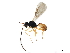  ( - BIOUG15443-D10)  @13 [ ] CreativeCommons - Attribution (2019) CBG Photography Group Centre for Biodiversity Genomics