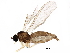  ( - BIOUG15496-C07)  @13 [ ] CreativeCommons - Attribution (2016) CBG Photography Group Centre for Biodiversity Genomics
