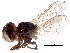  ( - BIOUG15499-D02)  @11 [ ] CreativeCommons - Attribution (2017) CBG Photography Group Centre for Biodiversity Genomics