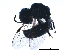  (Pemphredon enslini - BIOUG15613-G04)  @13 [ ] CreativeCommons - Attribution (2016) CBG Photography Group Centre for Biodiversity Genomics