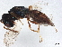  ( - BIOUG15622-A12)  @11 [ ] CreativeCommons - Attribution (2022) CBG Photography Group Centre for Biodiversity Genomics