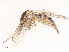 ( - CBG-B01641-H07)  @11 [ ] CreativeCommons - Attribution Share - Alike (2025) CBG Photography Group Centre for Biodiversity Genomics