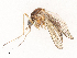  ( - CBG-B01645-F09)  @11 [ ] CreativeCommons - Attribution Share - Alike (2025) CBG Photography Group Centre for Biodiversity Genomics