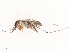  ( - CBG-B01645-H03)  @11 [ ] CreativeCommons - Attribution Share - Alike (2025) CBG Photography Group Centre for Biodiversity Genomics