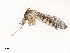  ( - CBG-B01645-H07)  @11 [ ] CreativeCommons - Attribution Share - Alike (2025) CBG Photography Group Centre for Biodiversity Genomics