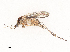  ( - CBG-B01647-E10)  @11 [ ] CreativeCommons - Attribution Share - Alike (2025) CBG Photography Group Centre for Biodiversity Genomics