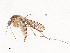  ( - CBG-B01647-H01)  @11 [ ] CreativeCommons - Attribution Share - Alike (2025) CBG Photography Group Centre for Biodiversity Genomics