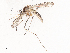  ( - CBG-B01647-H02)  @11 [ ] CreativeCommons - Attribution Share - Alike (2025) CBG Photography Group Centre for Biodiversity Genomics
