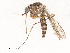  ( - CBG-B01647-H03)  @11 [ ] CreativeCommons - Attribution Share - Alike (2025) CBG Photography Group Centre for Biodiversity Genomics