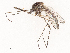  ( - CBG-B01647-H06)  @11 [ ] CreativeCommons - Attribution Share - Alike (2025) CBG Photography Group Centre for Biodiversity Genomics