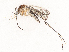  ( - CBG-B01647-H09)  @11 [ ] CreativeCommons - Attribution Share - Alike (2025) CBG Photography Group Centre for Biodiversity Genomics