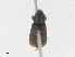  ( - CBG-A23397-F07)  @11 [ ] CreativeCommons - Attribution Share - Alike (2023) CBG Photography Group Centre for Biodiversity Genomics