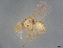  ( - BIOUG37458-A11)  @11 [ ] CreativeCommons - Attribution (2022) CBG Photography Group Centre for Biodiversity Genomics