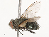 ( - CBG-B00089-D01)  @11 [ ] CreativeCommons - Attribution Share - Alike (2025) CBG Photography Group Centre for Biodiversity Genomics