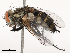 ( - CBG-B00090-B10)  @11 [ ] CreativeCommons - Attribution Share - Alike (2025) CBG Photography Group Centre for Biodiversity Genomics