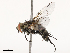  ( - CBG-B00090-B11)  @11 [ ] CreativeCommons - Attribution Share - Alike (2025) CBG Photography Group Centre for Biodiversity Genomics