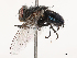  ( - CBG-B00090-E04)  @11 [ ] CreativeCommons - Attribution Share - Alike (2025) CBG Photography Group Centre for Biodiversity Genomics