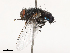  ( - CBG-B00090-E06)  @11 [ ] CreativeCommons - Attribution Share - Alike (2025) CBG Photography Group Centre for Biodiversity Genomics