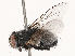  ( - CBG-B00090-E09)  @11 [ ] CreativeCommons - Attribution Share - Alike (2025) CBG Photography Group Centre for Biodiversity Genomics
