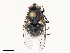  ( - CBG-B00090-E10)  @11 [ ] CreativeCommons - Attribution Share - Alike (2025) CBG Photography Group Centre for Biodiversity Genomics