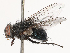  ( - CBG-B00090-F01)  @11 [ ] CreativeCommons - Attribution Share - Alike (2025) CBG Photography Group Centre for Biodiversity Genomics