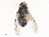  ( - CBG-B00090-F08)  @11 [ ] CreativeCommons - Attribution Share - Alike (2025) CBG Photography Group Centre for Biodiversity Genomics