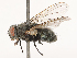  ( - CBG-B00091-D09)  @11 [ ] CreativeCommons - Attribution Share - Alike (2025) CBG Photography Group Centre for Biodiversity Genomics