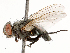  ( - CBG-B21311-B01)  @11 [ ] CreativeCommons - Attribution Share - Alike (2025) CBG Photography Group Centre for Biodiversity Genomics