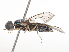  ( - CBG-B21311-B10)  @11 [ ] CreativeCommons - Attribution Share - Alike (2025) CBG Photography Group Centre for Biodiversity Genomics
