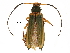  ( - BIOUG33168-F08)  @14 [ ] CreativeCommons - Attribution (2017) CBG Photography Group Centre for Biodiversity Genomics