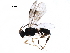  ( - BIOUG33411-B08)  @12 [ ] CreativeCommons - Attribution (2017) CBG Photography Group Centre for Biodiversity Genomics