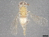  ( - BIOUG31537-C05)  @11 [ ] CreativeCommons - Attribution (2022) CBG Photography Group Centre for Biodiversity Genomics